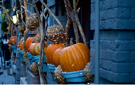 ハロウィンパーティー開催！仮装でご来店の方にドリンクサービス